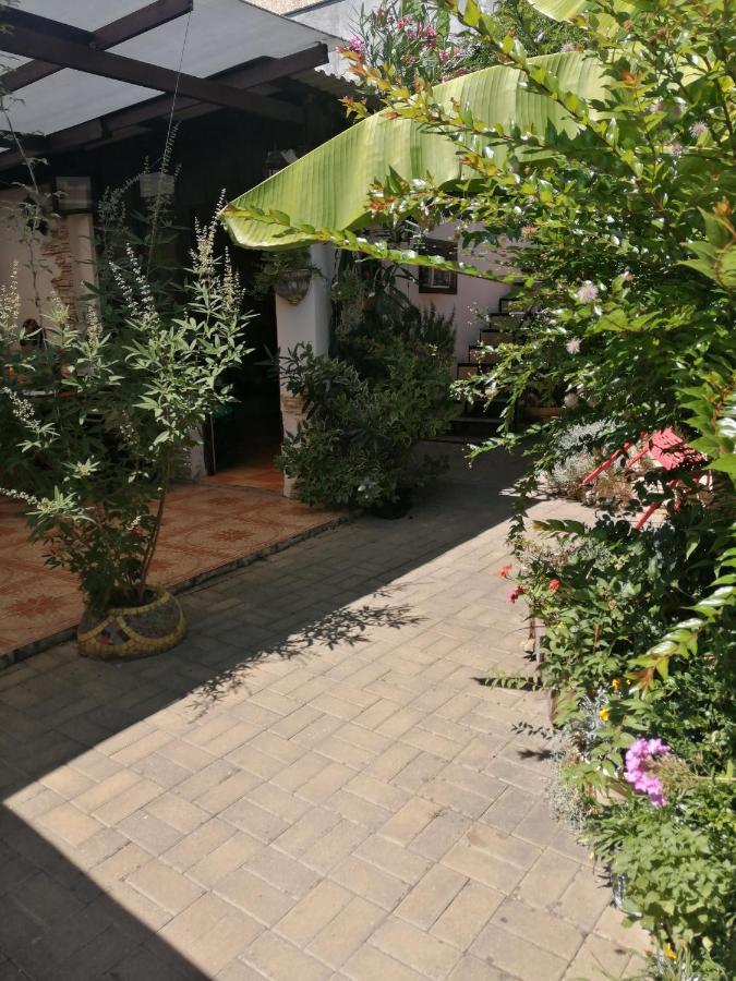Magnoliia Hotell Sukhumi Eksteriør bilde
