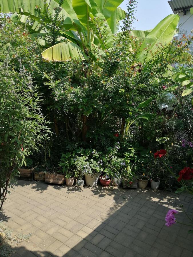 Magnoliia Hotell Sukhumi Eksteriør bilde