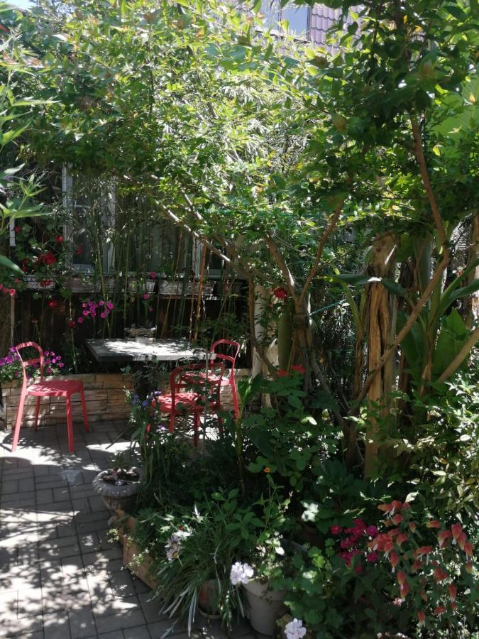 Magnoliia Hotell Sukhumi Eksteriør bilde